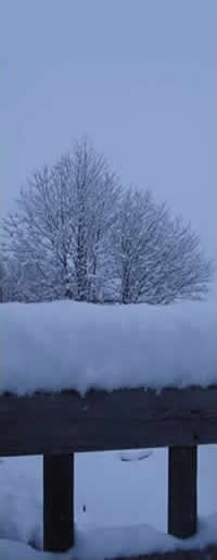 Snowy Blue Landscape