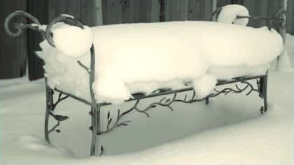 Bench in Winter