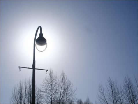 Lamppost in Winter