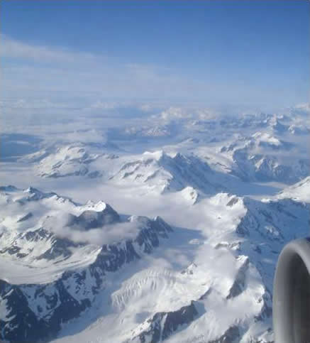 In Flight View