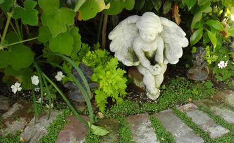 Cherub Tucked Away in the Garden