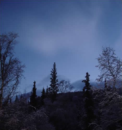 Dusting of Snow