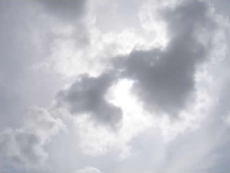 Dove shaped clouds