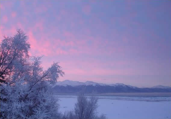 Fuschia Sunset