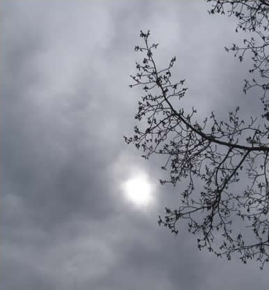 Sun Peeking Through Clouds