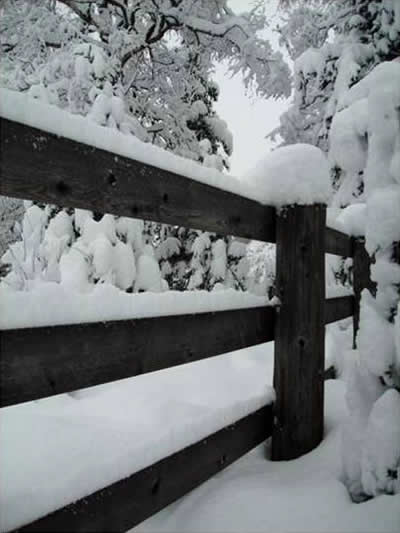 Snow-covered fence