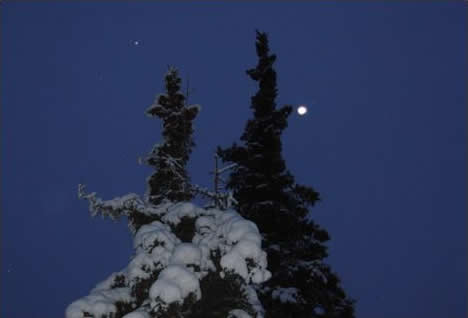 Moon Over the Bog